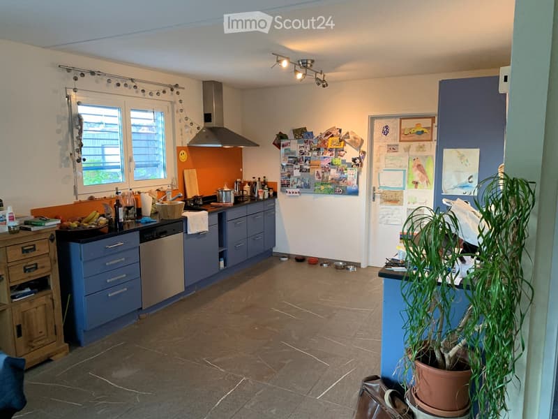 A modern kitchen with blue cabinets, stainless steel appliances, and a tiled floor. The space features a refrigerator, dishwasher, countertop, and various kitchen items including a bowl, bottle, and wine glass. A potted plant is placed on the counter, and