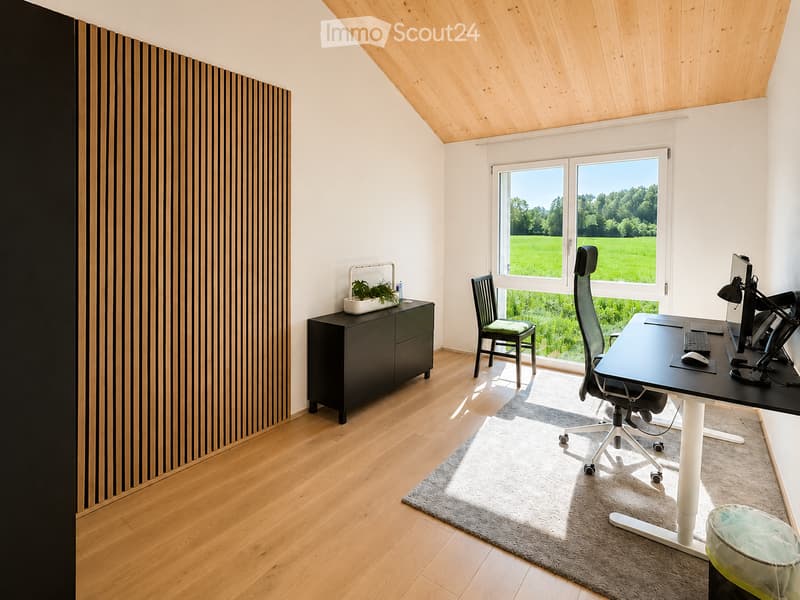 Modern office space with wooden flooring, large windows overlooking a green field, a sleek black desk with a computer setup, ergonomic office chairs, a small cabinet with a plant, and a gray rug.