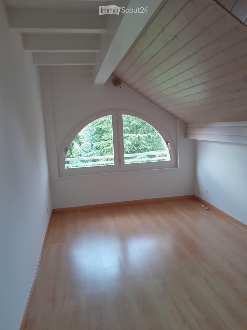 Empty attic room with wooden flooring, white walls, and a skylight window offering a view of greenery outside.