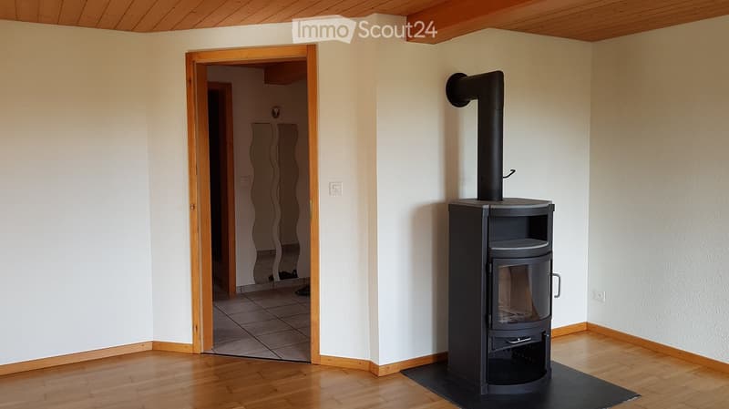 A room with a wood stove, wooden floor, and an open doorway leading to another room.