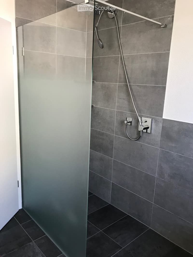 Modern bathroom with grey tiled walls, black tiled floor, glass shower enclosure, and a handheld showerhead with a control valve.