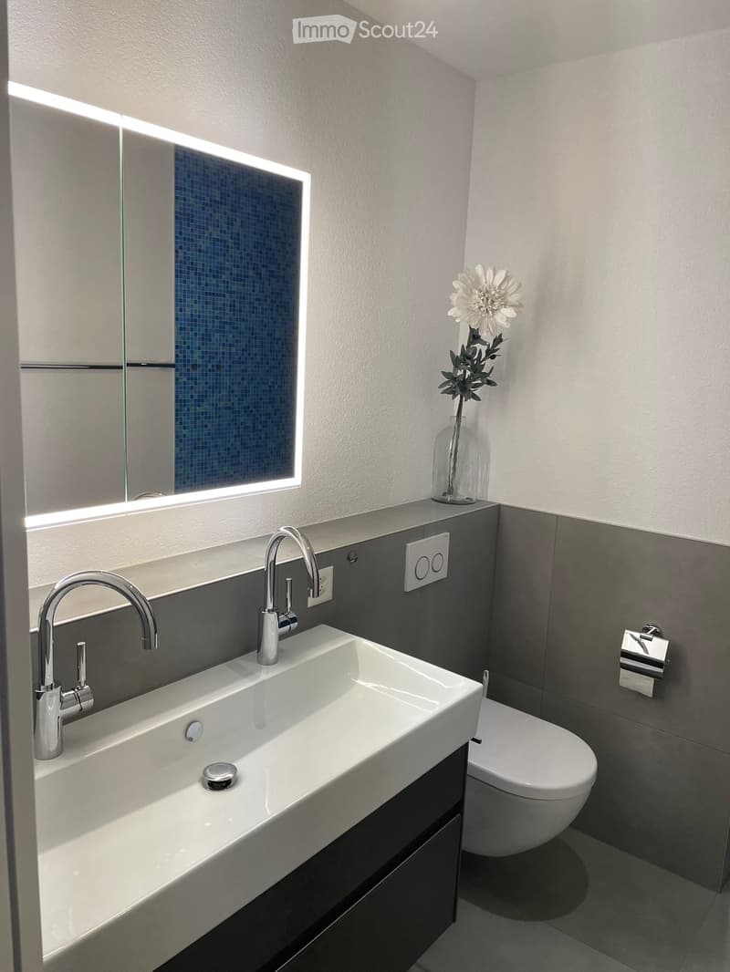 Modern bathroom with a white sink, dual faucets, a large mirror, a toilet, and a vase with a white flower on the counter.