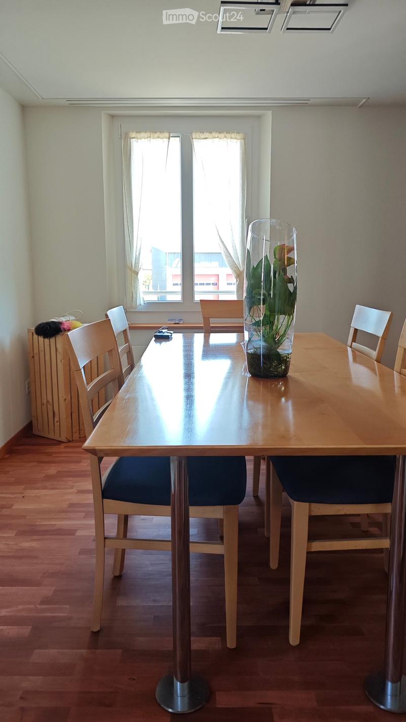 Dining room with a wooden table, chairs, and a vase with plants on the table. Natural light from large windows.