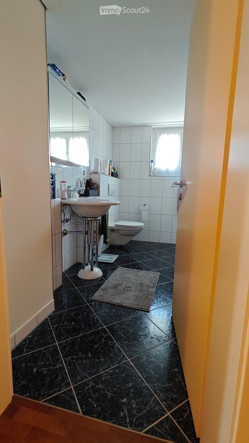 Modern bathroom with black marble tiles, white sink, toilet, mirror, and a small rug on the floor.