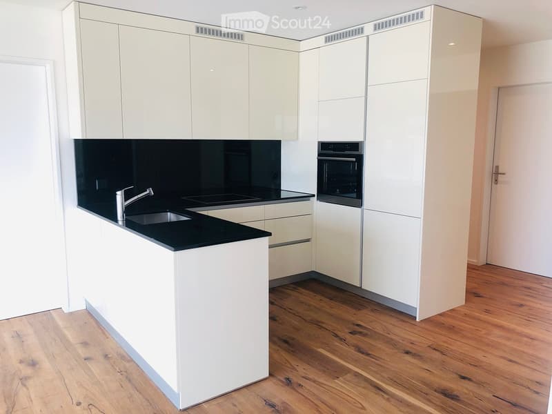 Modern kitchen with white cabinets, black countertop, stainless steel sink and faucet, and built-in oven.