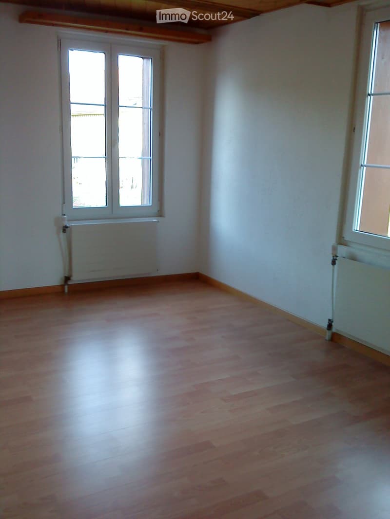 empty room with wooden floor, white walls, two windows, radiators