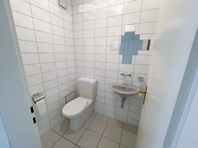 Clean, modern bathroom with white tiles, a toilet, a sink, a mirror, and a toilet paper holder.