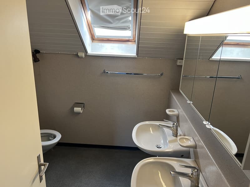 Modern bathroom with two sinks, a toilet, a large mirror, and a skylight window above the sinks.
