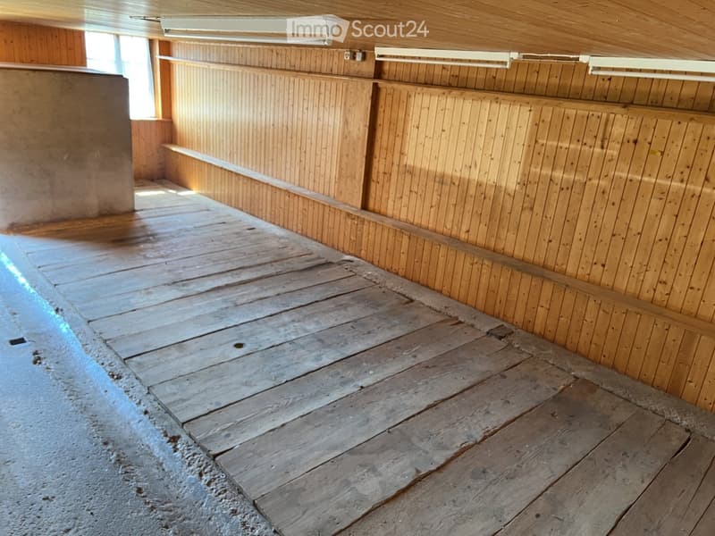 Empty room with wooden walls and floor, natural lighting from a window, and exposed wooden beams on the ceiling.