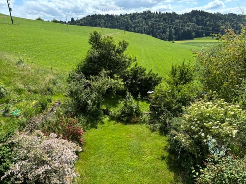 Lush green garden with well-maintained lawn, various shrubs, and trees, surrounded by rolling hills and a forested area in the background.