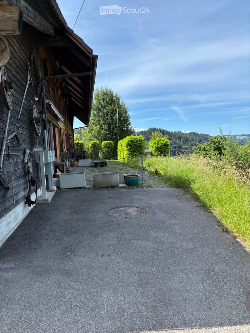 A gravel driveway leading to a wooden house with a covered entrance, surrounded by greenery and potted plants.
