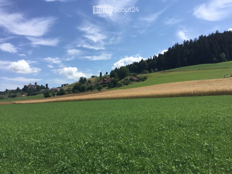 A peaceful rural landscape with green fields, scattered trees, and a few houses in the distance under a partly cloudy sky.