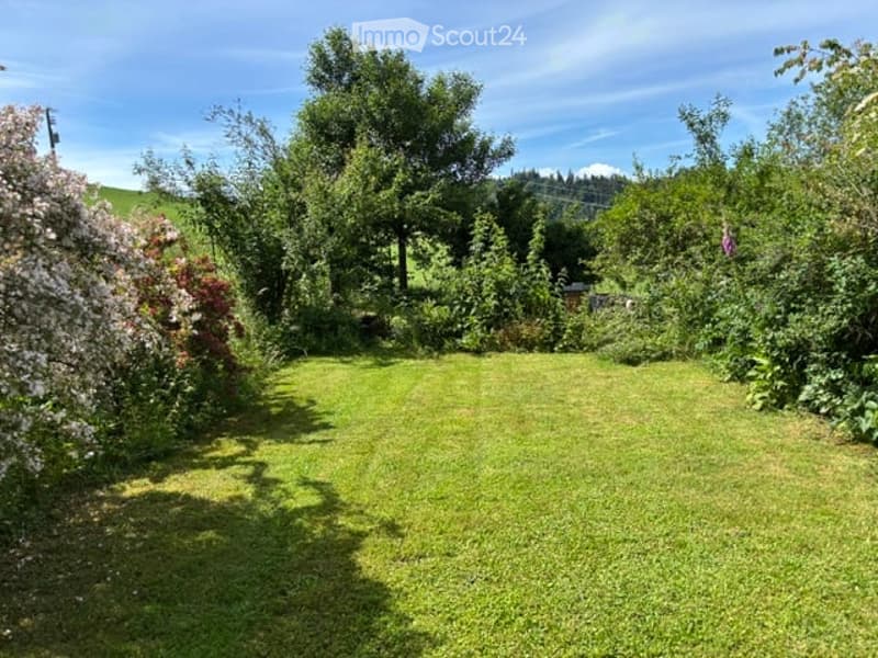 Lush garden with a well-maintained lawn, surrounded by trees and flowering shrubs under a clear blue sky.