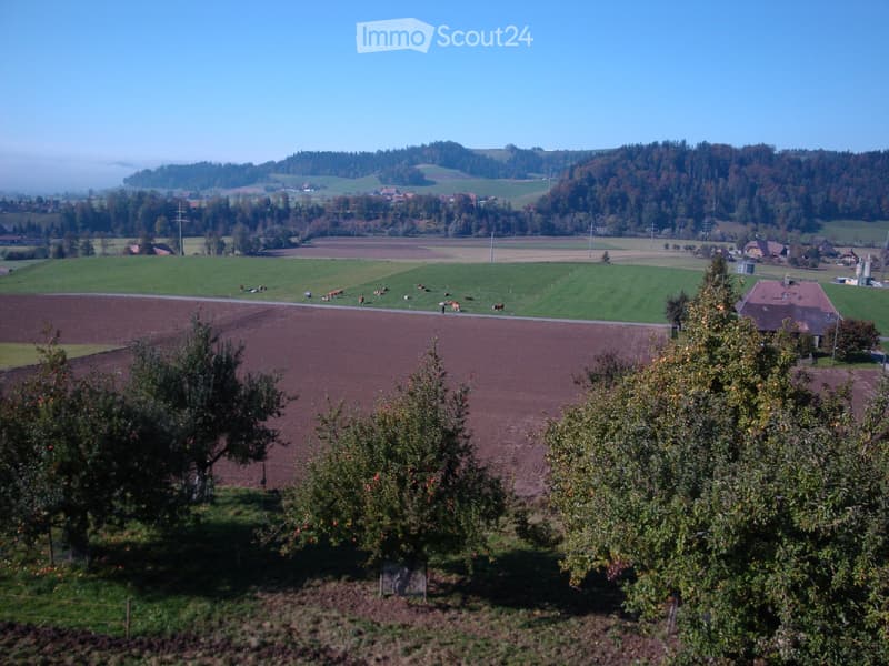 A panoramic view of a rural landscape with fields, grazing cows, trees, and a small house in the distance.