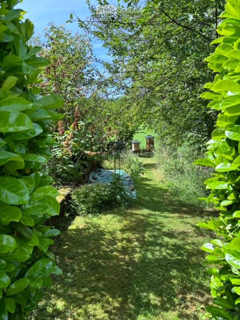 A lush garden area with a grassy path, surrounded by dense foliage and trees, with a small structure visible in the background.