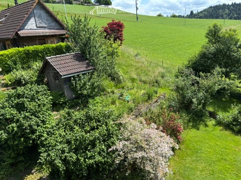 Aerial view of a rural garden area with a small wooden shed, surrounded by lush greenery, trees, and a grassy field extending into the distance.