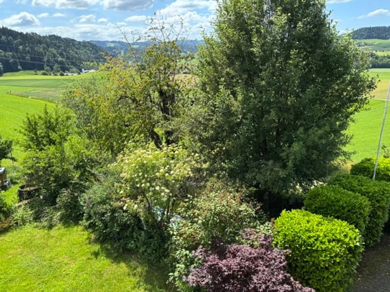 A lush garden with various trees, shrubs, and flowering plants, surrounded by green fields and hills under a clear blue sky.