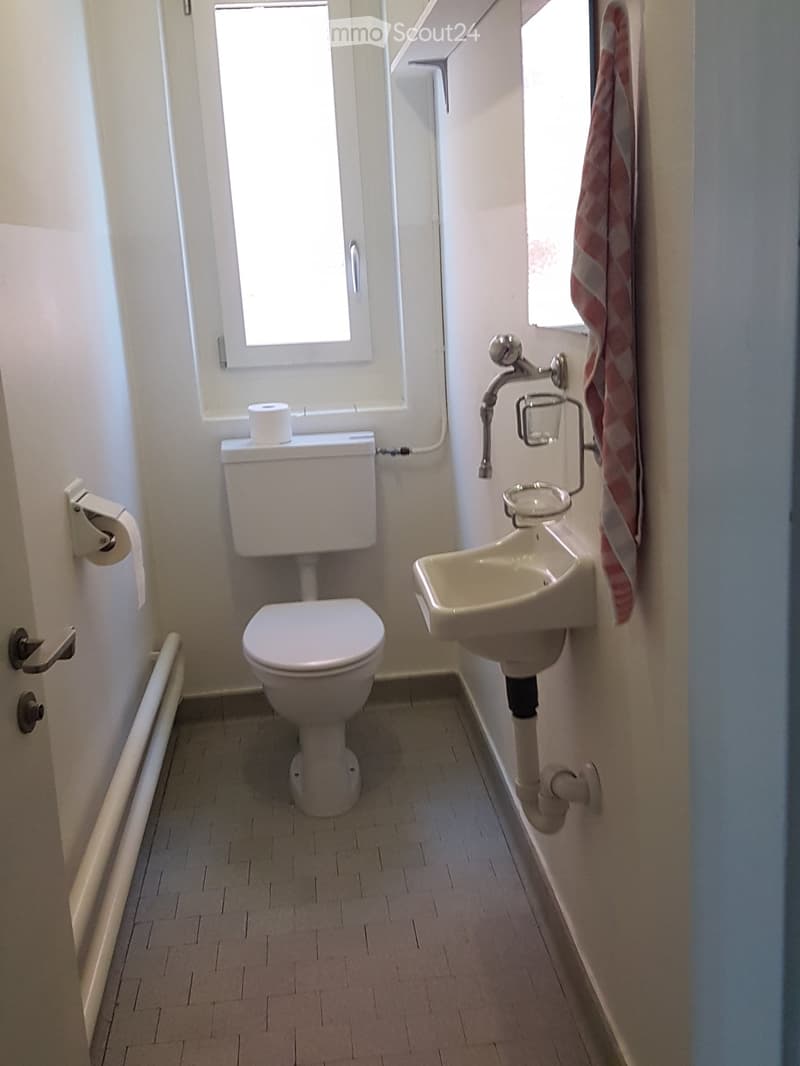 Compact bathroom with toilet, sink, and windows