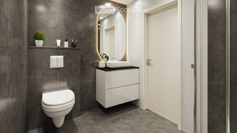 Modern bathroom with dark grey tiles, white toilet, sink, and cabinet, along with a large oval mirror and small plant on the shelf.