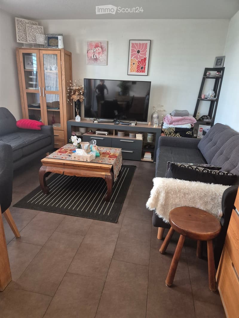 Modern living room with two sofas, a coffee table, a wooden stool, a TV, a cabinet, and decorative items.