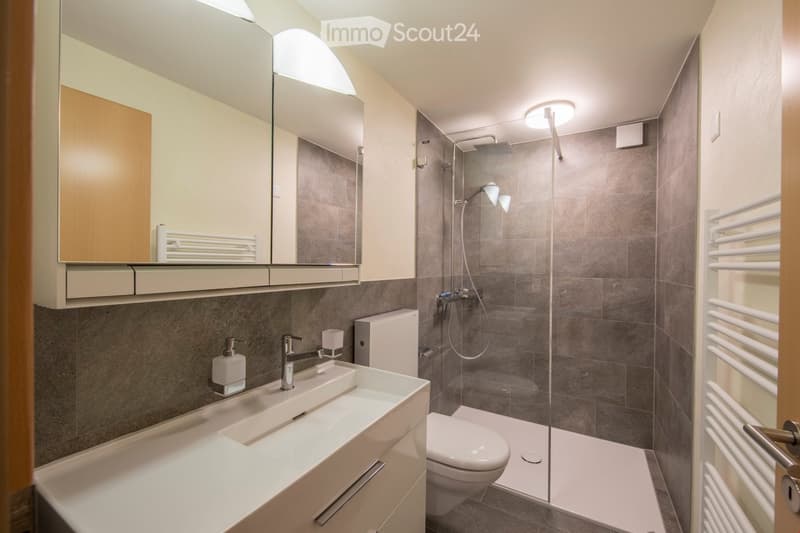 Modern bathroom with a white sink, toilet, glass-enclosed shower, and a large mirror above the sink. The walls are tiled in gray, and there is a radiator on the right side.