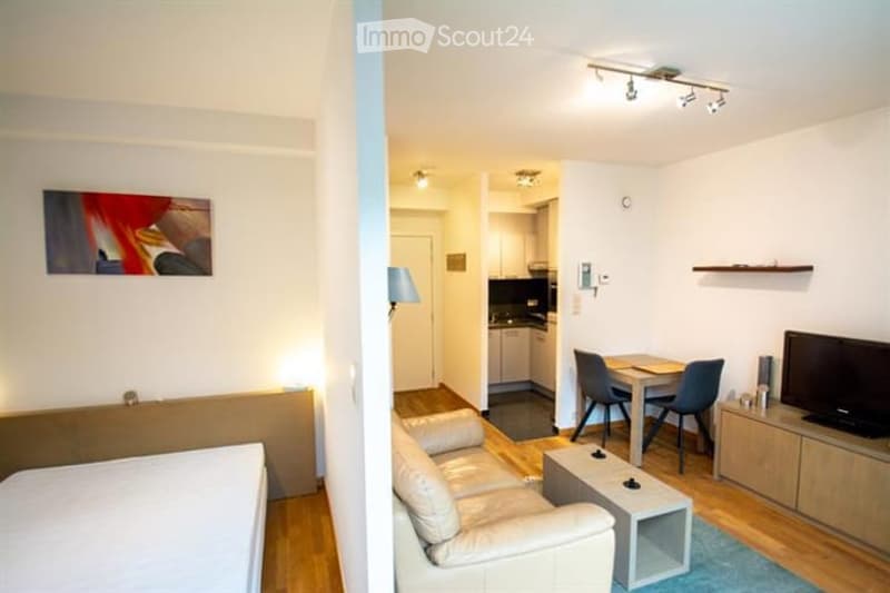 Modern furnished room with a sofa, coffee table, dining table, chairs, TV, and a painting on the wall. The space includes a kitchen area with cabinets and appliances.