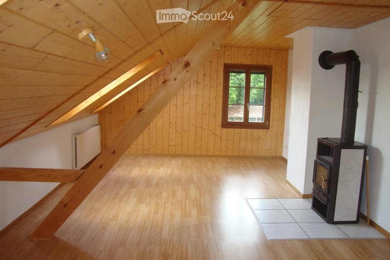 Empty attic room with wooden walls and ceiling, a skylight window, a radiator, and a wood-burning stove with a chimney.