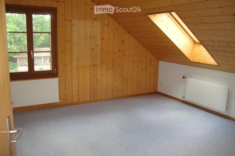 Empty attic room with wooden walls, carpeted floor, skylight window, and radiators on both sides.