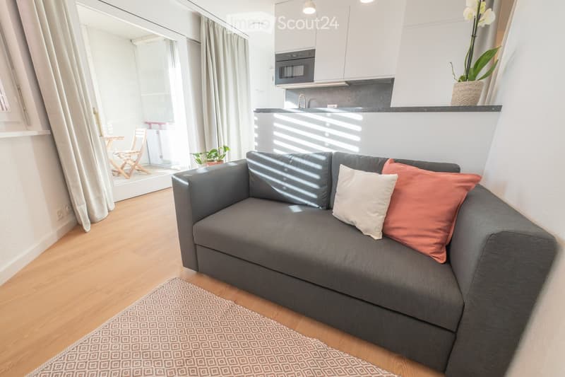 A modern living room with a grey sectional sofa, two throw pillows, a patterned rug, a microwave, a curtain, a small table and chair set near a window, and a potted plant on the windowsill.