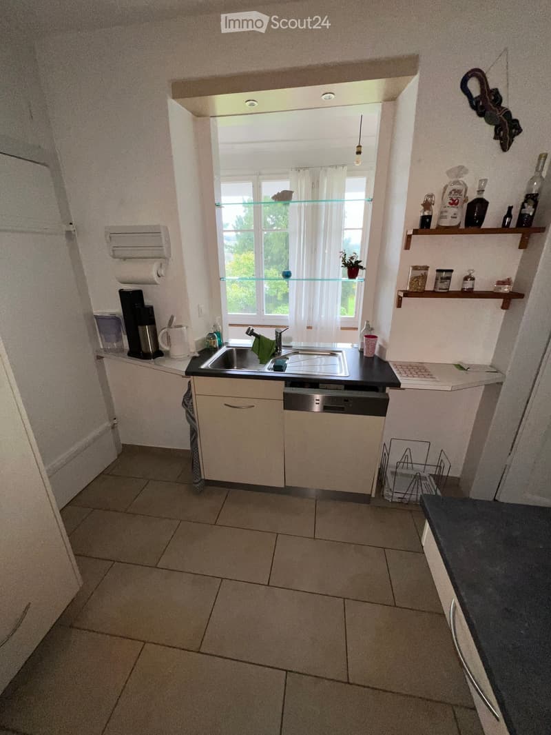 Modern kitchen with light-colored cabinets, a stainless steel sink, dishwasher, and various appliances. Shelves hold bottles and containers, and a window offers a view of greenery.