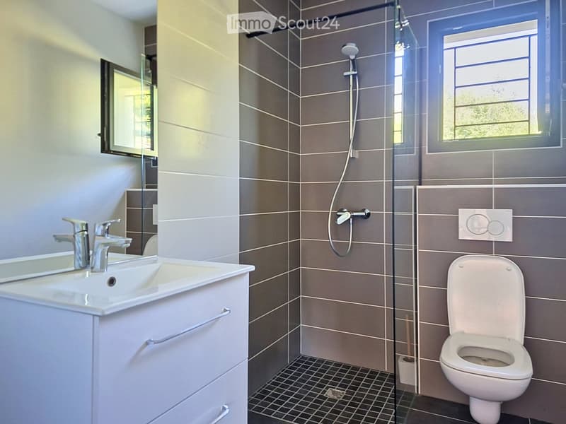 Modern bathroom with a white sink, chrome faucet, mirror, toilet, and a glass-enclosed shower with a handheld showerhead. The walls are tiled in gray and beige, and the floor has a dark tiled pattern.