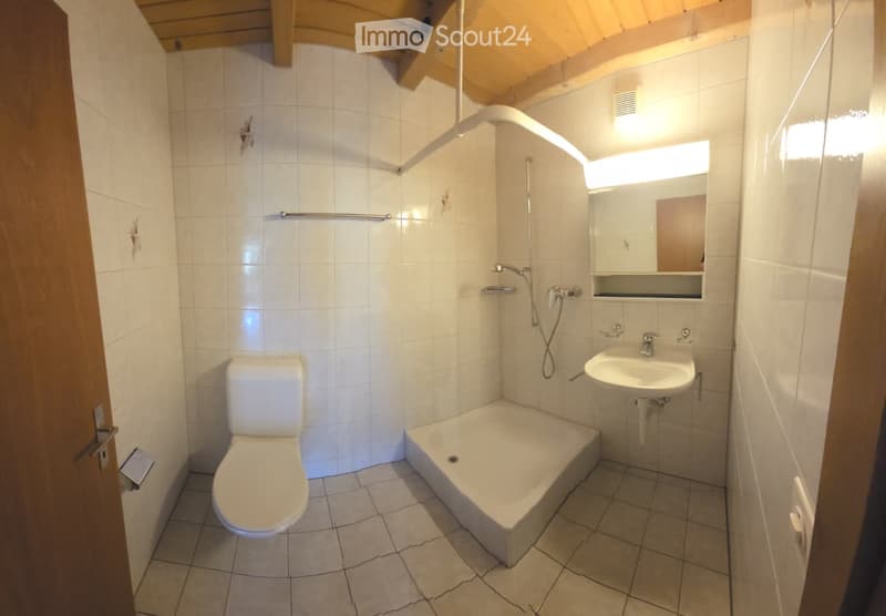 Modern bathroom with white tiles, a toilet, a bathtub, a sink, and a mirror. The room features a wooden ceiling and a shower area with a handheld showerhead.