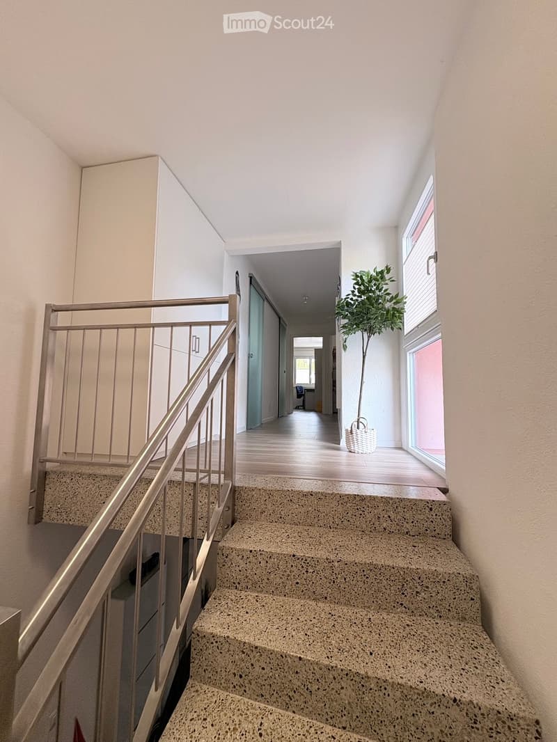 Modern hallway with a staircase featuring a metal railing and concrete steps, leading to a bright, open area with large windows and a potted plant.