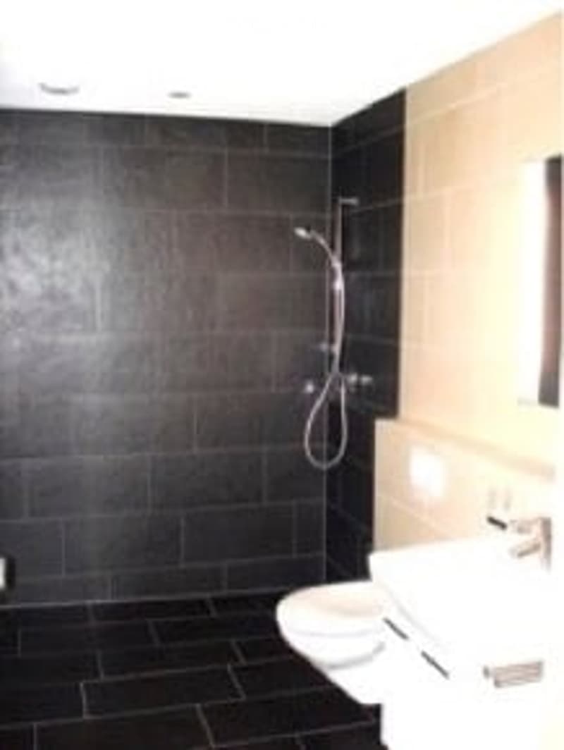 Modern bathroom with black tiles, a toilet, a sink, and a shower.