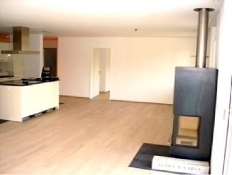 Bright, open-plan living and dining area with a modern kitchen island, stove, and a central fireplace.