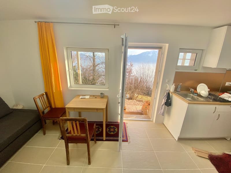 A compact, well-lit room with a sofa, a small table with chairs, a kitchen area with cabinets and a sink, and a view of the mountains through a large window and an open door leading to a patio.