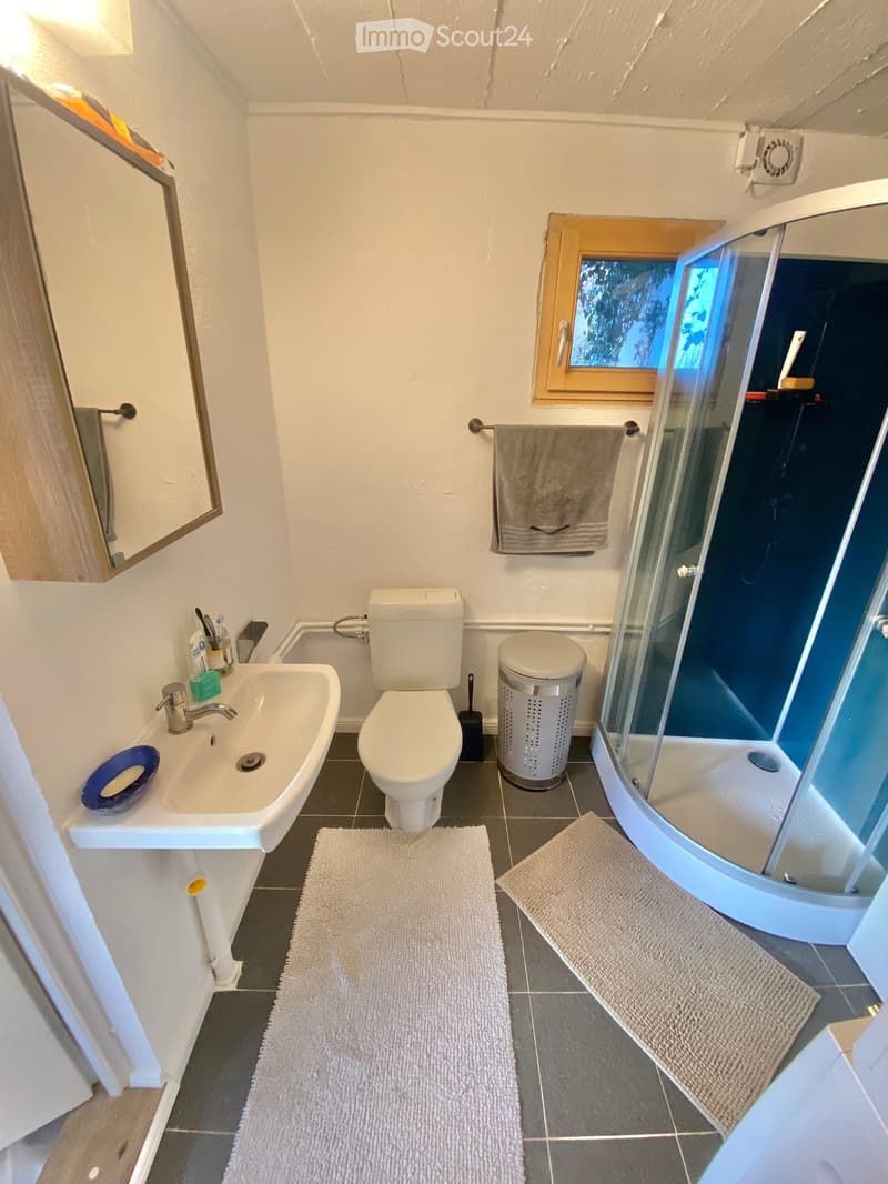 Modern bathroom with white walls, dark tiled floor, sink, toilet, shower, mirror, and towels.