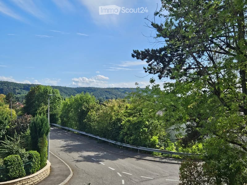 A winding road surrounded by lush green trees and bushes, with a scenic view of a forested valley in the background under a clear blue sky.