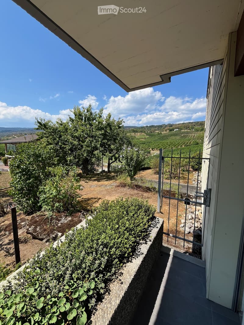Balcony overlooking a landscaped garden with a metal gate, stone wall, and distant vineyard view.