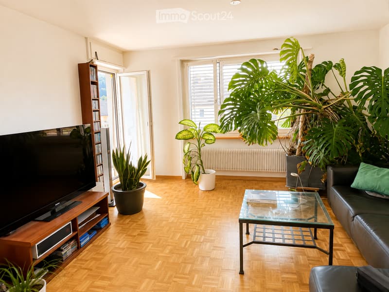 Bright living room with wooden flooring, large windows, and a balcony door. Features a black leather sofa, glass coffee table, flat-screen TV on a wooden stand, and several potted plants, including a large Monstera.