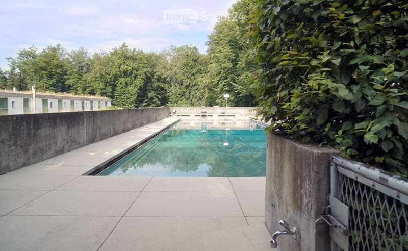 Outdoor swimming pool area with concrete walls, tiled deck, and surrounding greenery.