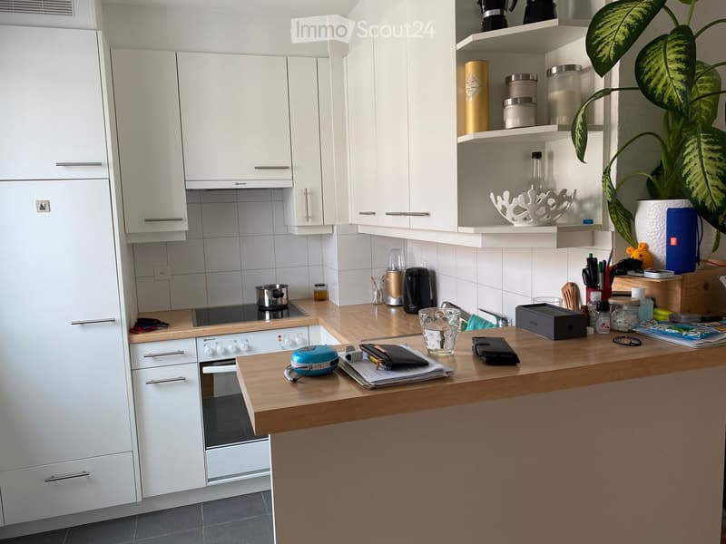 Modern kitchen with white cabinets, wooden countertops, and various appliances including an oven, induction stove, and coffee maker. Shelves hold jars, a plant, and decorative items.