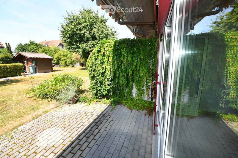 Garden area with a brick pathway, lush greenery, and a small wooden shed in the background.