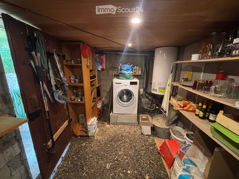 Utility room with a washing machine, shelves holding tools, jars, and bottles, and a concrete floor.