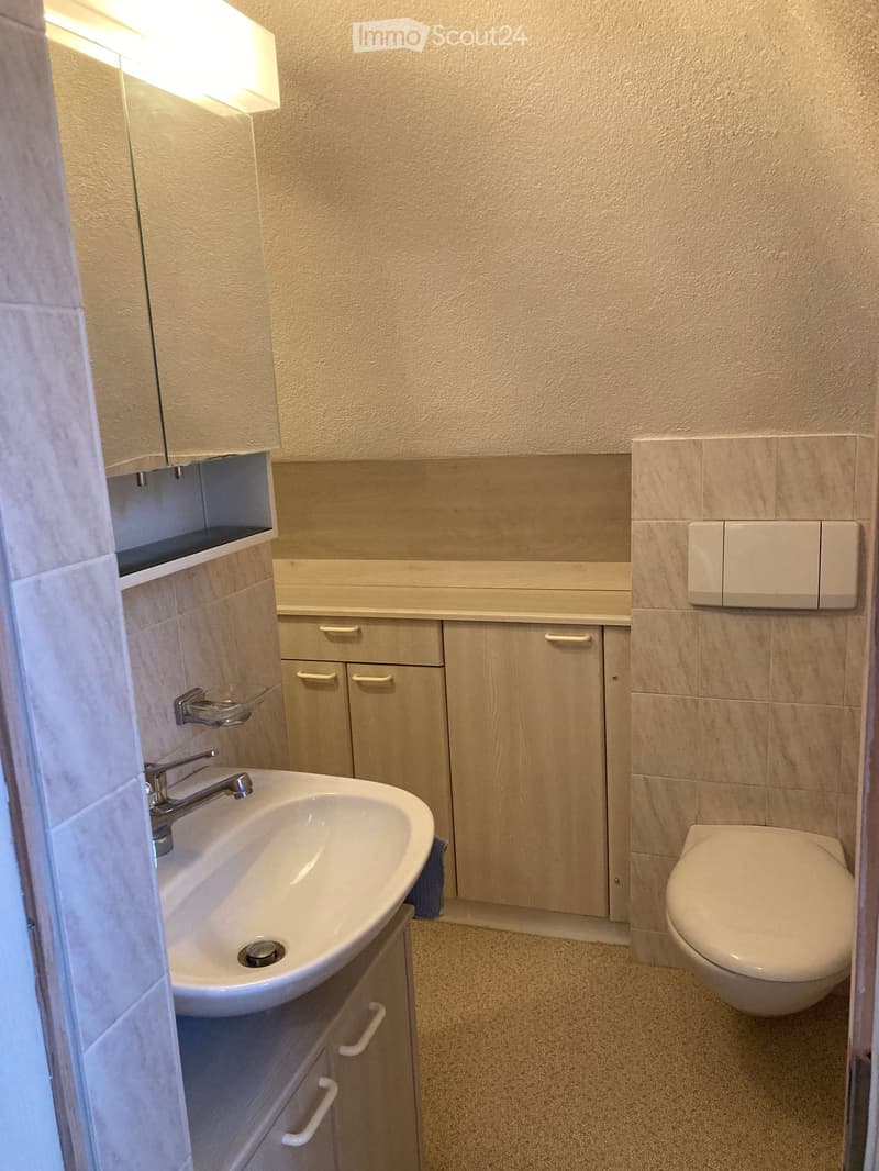 Modern bathroom with a white sink, chrome faucet, toilet, wooden cabinets, and a mirror above the sink.