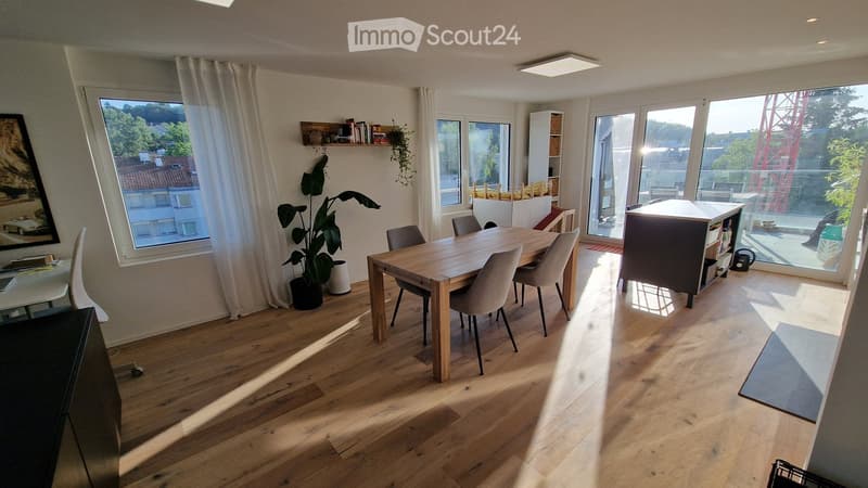 Bright, open-plan living and dining area with wooden flooring, large windows, and modern furniture including a dining table, chairs, and a potted plant.