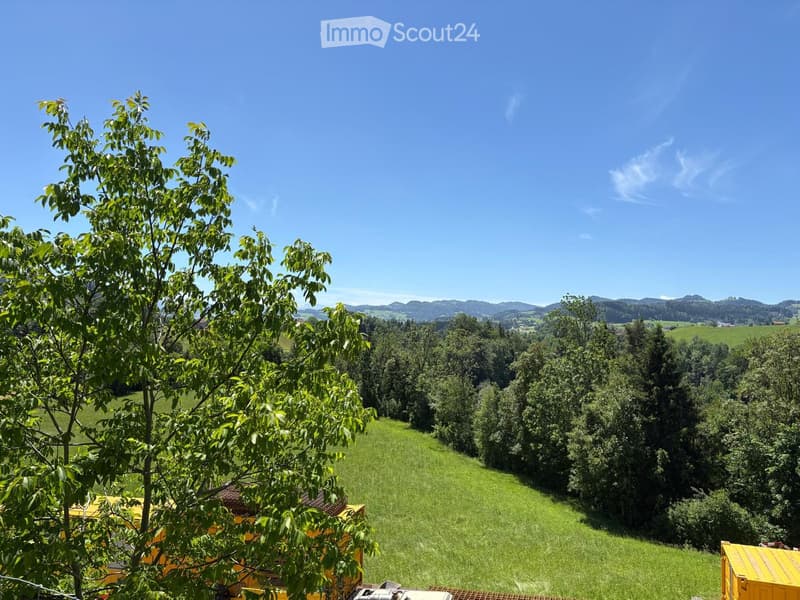 A panoramic view of a lush green meadow surrounded by dense forest, with distant mountains visible under a clear blue sky.
