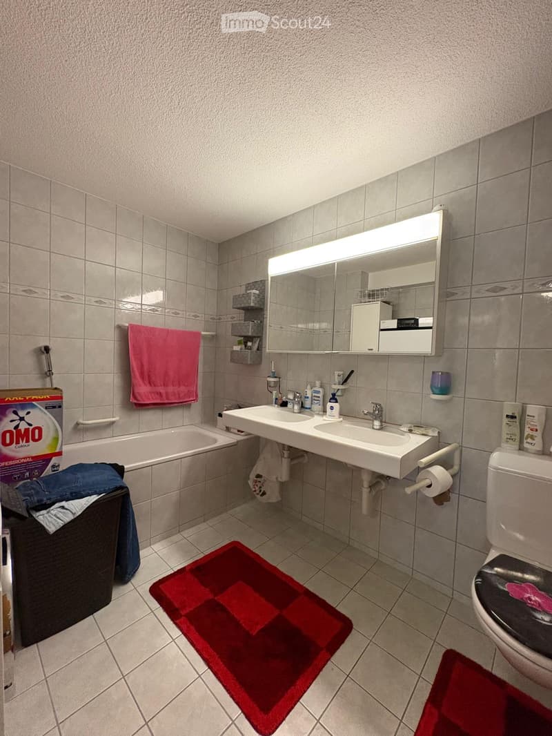 Bathroom with a double sink, bathtub, toilet, mirror, and various toiletries. Includes a red bath mat, a pink towel, and a box of laundry detergent on the floor.