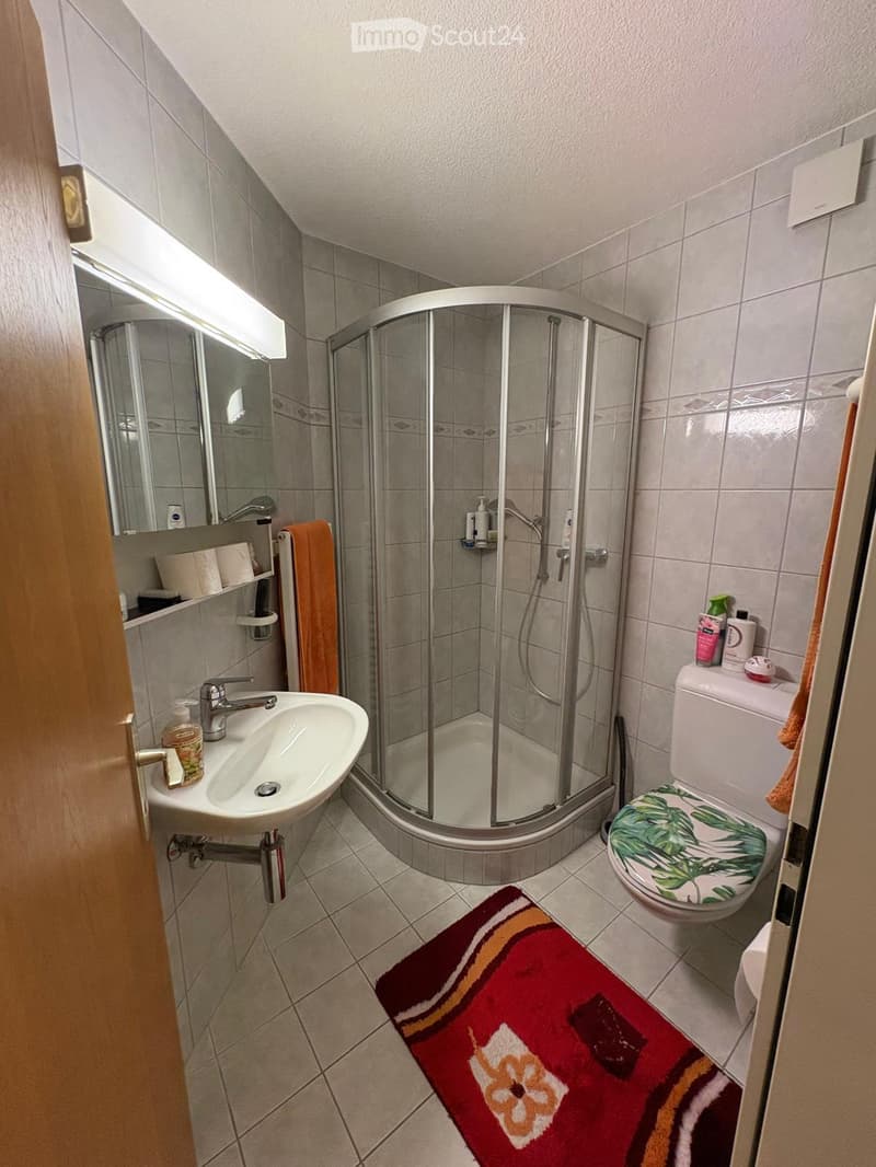 Modern bathroom with a corner shower, sink, toilet, and a decorative rug. Includes a mirror, towel, and toiletries.