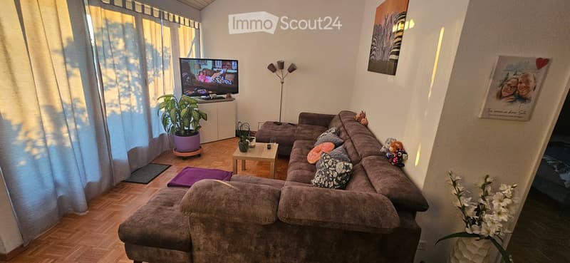 Modern living room with a grey sectional sofa, coffee table, TV, floor lamp, and decorative plants.